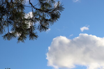 sky and clouds