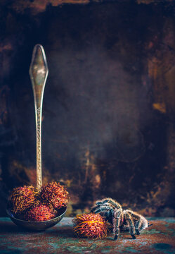 Tarantula and rambutan