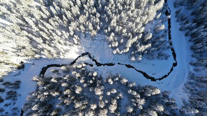 Bach im Winter mit schneebedeckten Tannen
