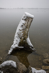 Winterliche Landschaft am See
