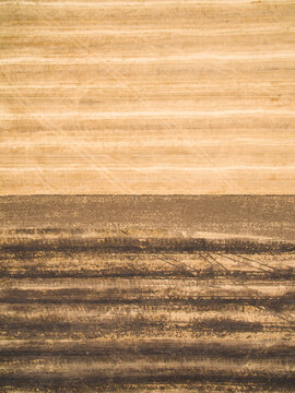 Harvested and burned stubble farmland