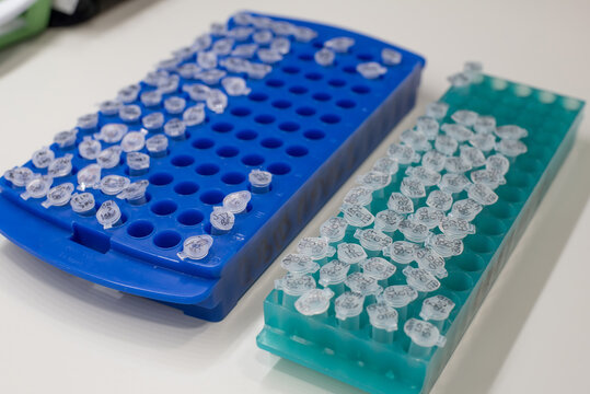 Multy well tray in a laboratory
