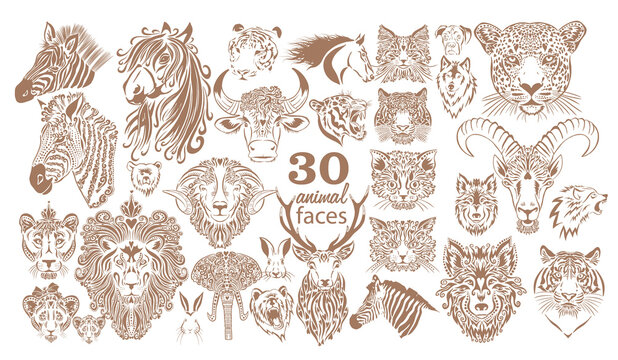 Set of animal faces. Graphic muzzles of animals. Vector illustration