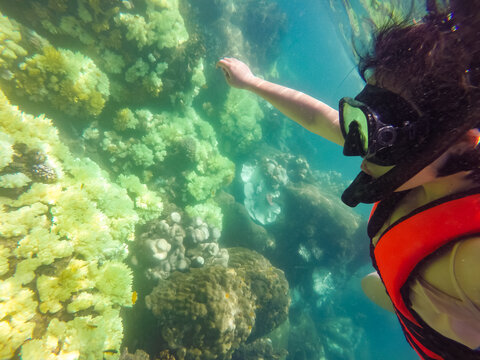 Diving Asian girl 's Profile,Samui,Thailand
