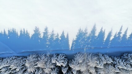 Schatten von Tannen im Schnee in sch&ouml;ner Winterlandschaft