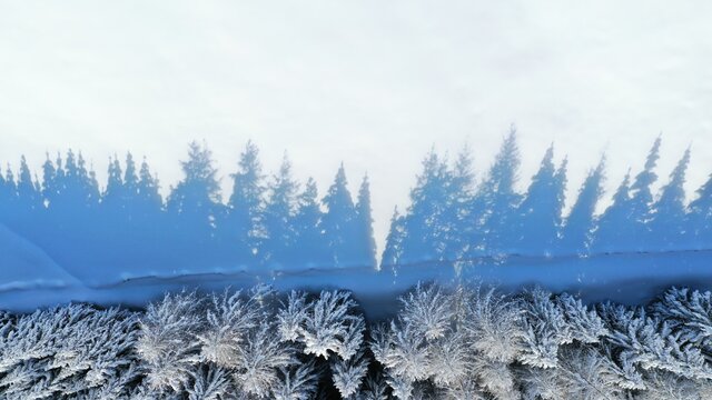 Schatten von Tannen im Schnee in schöner Winterlandschaft