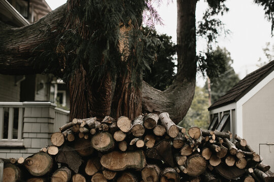 stack of logs for firewood