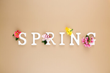 White wooden letters make up a spring arrangement of fresh spring flowers on a champagne background. Minimal concept. Flat lay