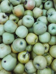 green apples harvest close up