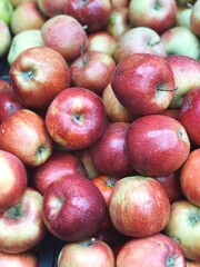 red ripe apples harvest close up