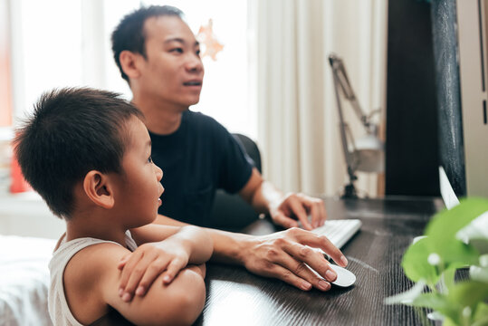 Father and son using computer at home