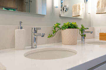 Modern bathroom with double sinks and mirrors, soap holder and potted plant decor.