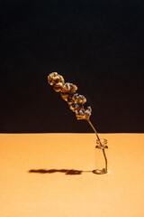 Three dried flower on a vase on a yellow black background. Set design.