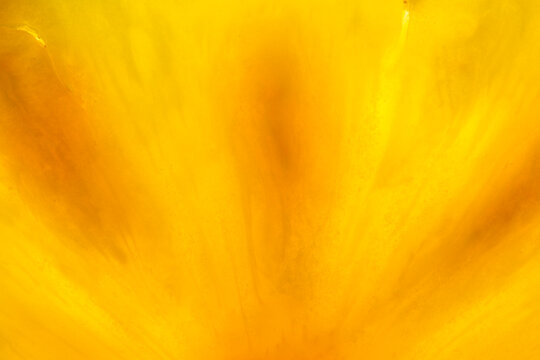 Abstract close-up of thin slice of pineapple, back lit