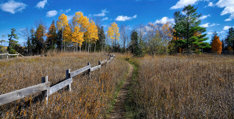 Fototapeta premium Footpath in the park with fence in autumn