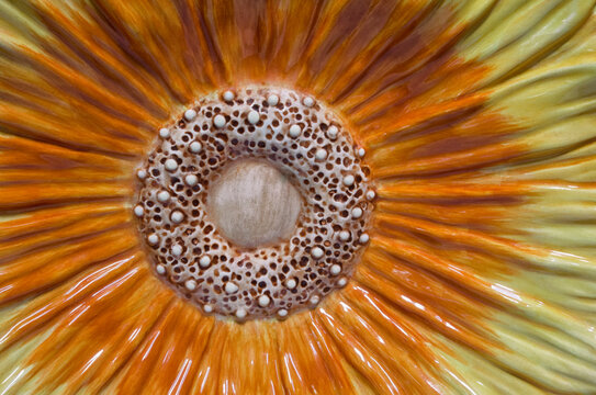 closeup of flower pattern in ceramic base