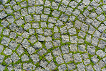 texture of neglected abandoned paving stones overgrown with bright green gras