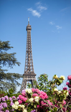 Eiffel Tower