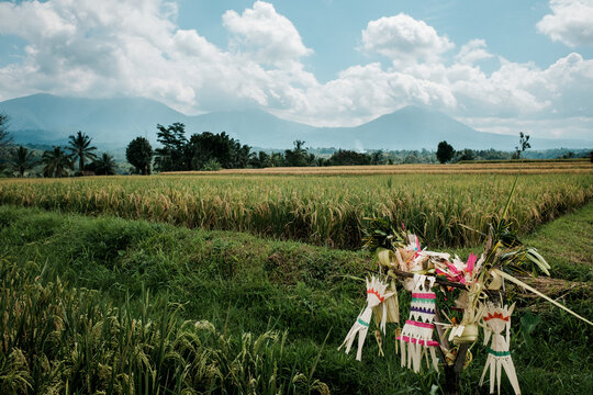 Hindu Objects in Bali Rice Field