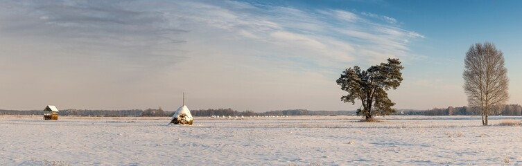 Snow-coverd, frozen fields and meadows, eastern Poland, Podlasie