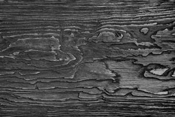 A fragment of a old wooden plank