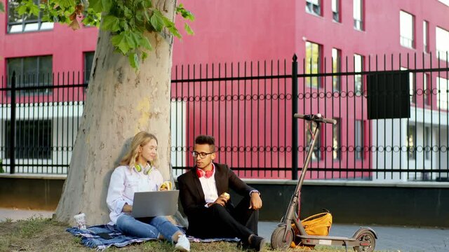 Two Office Workers Multiracial Lady And Guy At The Lunch Take A Sit Outside On The Grass Beside Of A Big Tree They Using Laptop To Finish Some Work