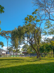 Paisaje Parque Cuscatlán El Salvador