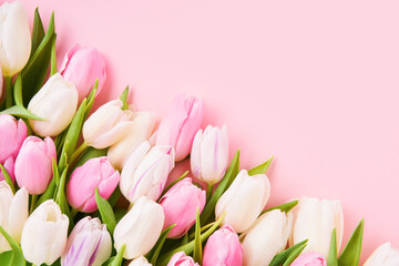 Pink and white tulips on a light pink background, selective focus. Flat lay, copy space