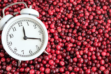 White alarm clock with ripe fresh cranberries as natural, healthy food, berries, time for vitamins background. Selective focus.