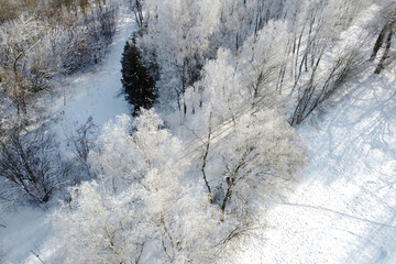Winter landscape with birch trees covered hoarfrost, aerial view