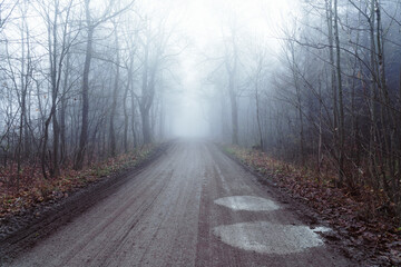 Matschiger Forstweg führ in einen dunklen Nebelwald