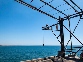 Pelicanos en muelle La lIbertad
