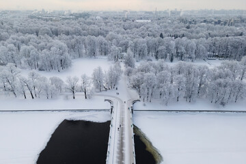 Aerial view of Elagin island in saint-petersburg, frosty trees