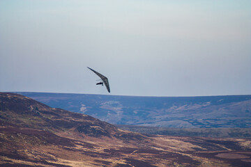 paraglider in the sky