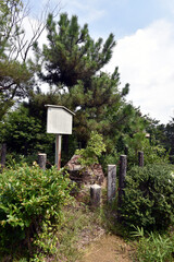 山崎の合戦跡　秀吉旗立ての松　京都府長岡京市