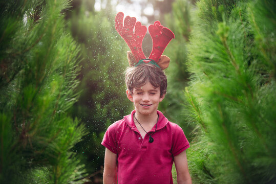 Boy with glitter amongst christmas trees