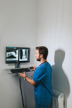 Veterinary examining a dog's x-ray