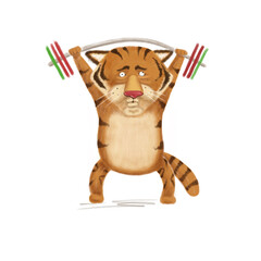 fat tiger lifts a barbell. Tiger rolled his eyes in exertion.tiger lifts weights and pushes