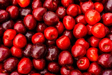 cherry Fruit Background, cherry Texture Pattern