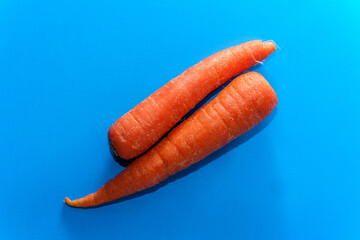 Carrots Blue Background