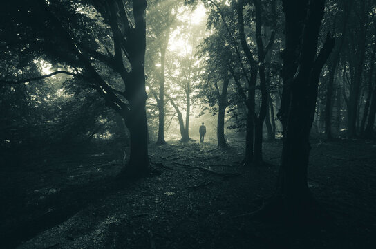 Man in mysterious dark haunted forest with fog