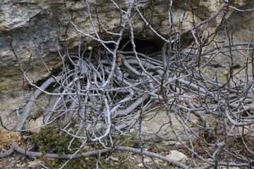 randonnée dans le petit Luberon