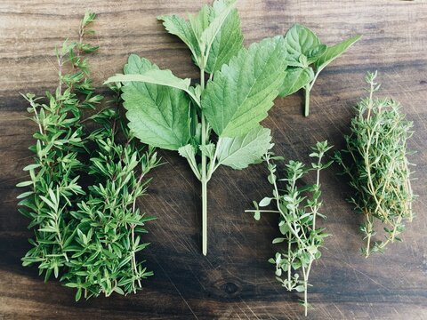 Aromatic plants