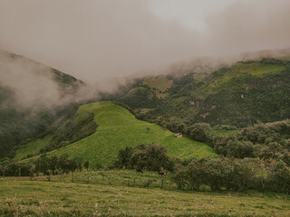 Fototapeta premium Niebla