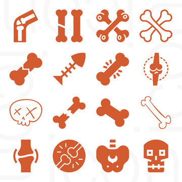 16 Pack Of Connective Tissue  Filled Web Icons Set