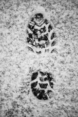 Real boot footprint in snow [bump map]