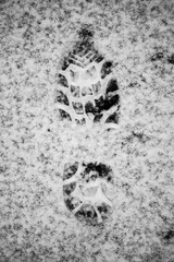 Real boot footprint in snow [bump map]