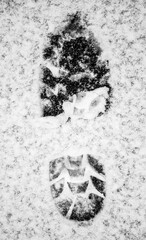Real boot footprint in snow [bump map]