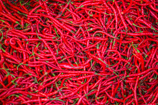 Red chilli peppers