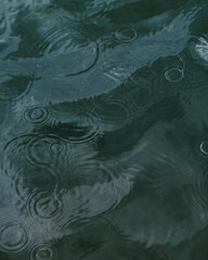 Obraz premium Waves in water lit by sunlight